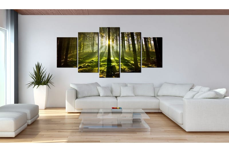 Billede Spring Silence 100x50 - Artgeist sp. z o. o. - Boligtilbehør - Billeder & kunst - Billeder på lærred