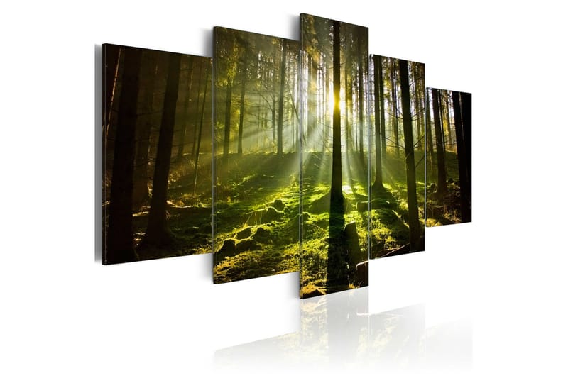 Billede Spring Silence 100x50, Artgeist sp. z o. o.