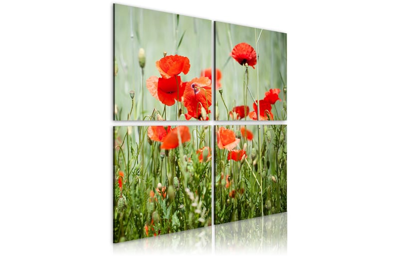 Billede Springtime 80x80, Artgeist sp. z o. o.