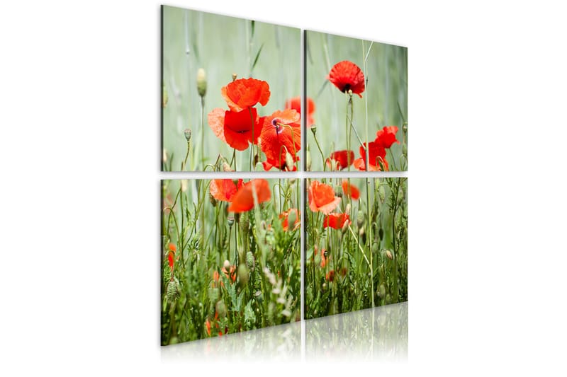 Billede Springtime 80x80 - Artgeist sp. z o. o. - Boligtilbehør - Billeder & kunst - Billeder på lærred
