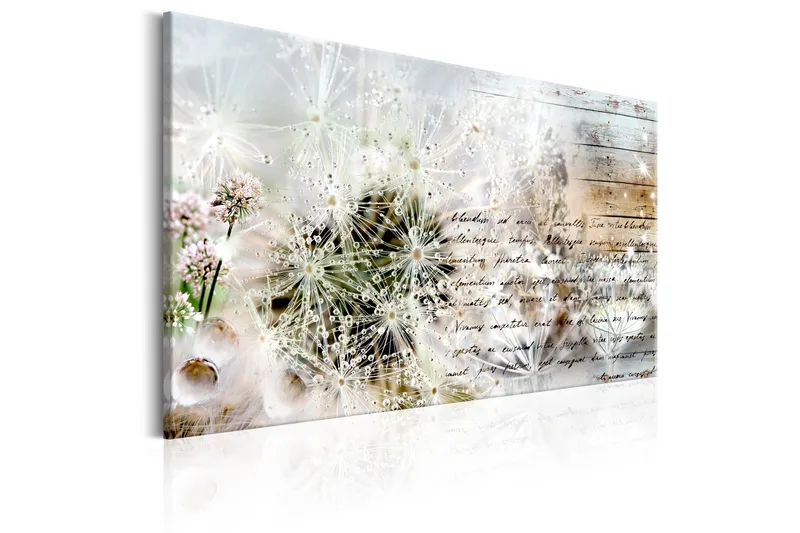 Billede Starry Dandelions 120x80, Artgeist sp. z o. o.