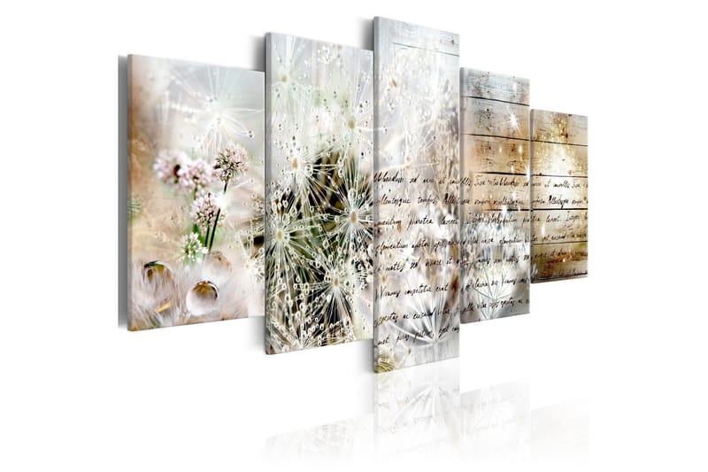 Billede Starry Dandelions Ii 100x50, Artgeist sp. z o. o.