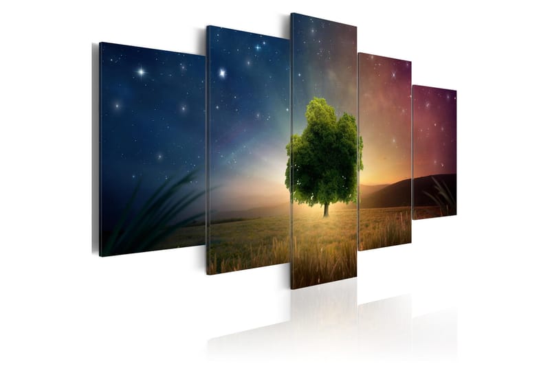 Billede Starry Nights 200x100, Artgeist sp. z o. o.