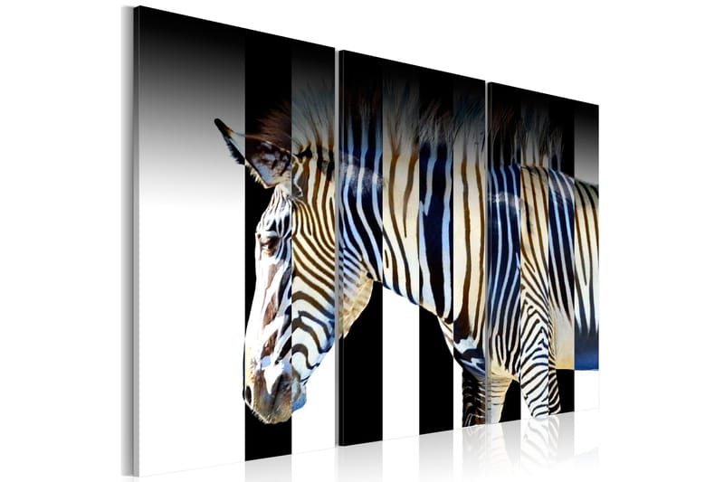 Billede Stripes 120x80, Artgeist sp. z o. o.