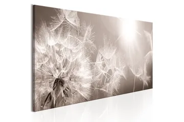 Billede Summer Dandelions 135x45 - Artgeist sp. z o. o. - Boligtilbehør - Billeder & kunst - Billeder på lærred