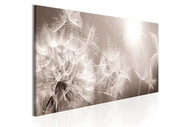 Billede Summer Dandelions 150x50, Artgeist sp. z o. o.
