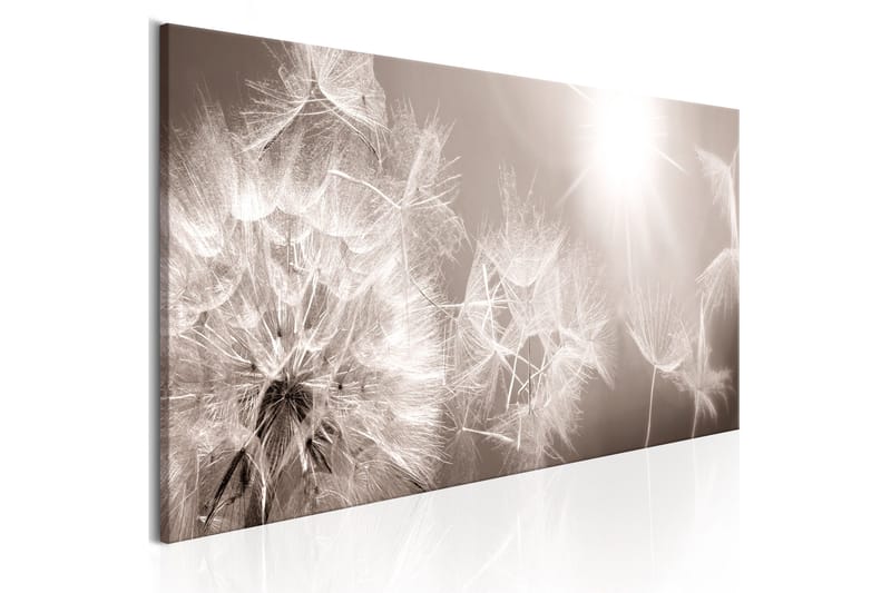 Billede Summer Dandelions 150x50 - Artgeist sp. z o. o. - Boligtilbehør - Billeder & kunst - Billeder på lærred