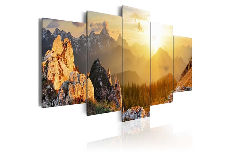 Billede Sun Salutation 100x50, Artgeist sp. z o. o.