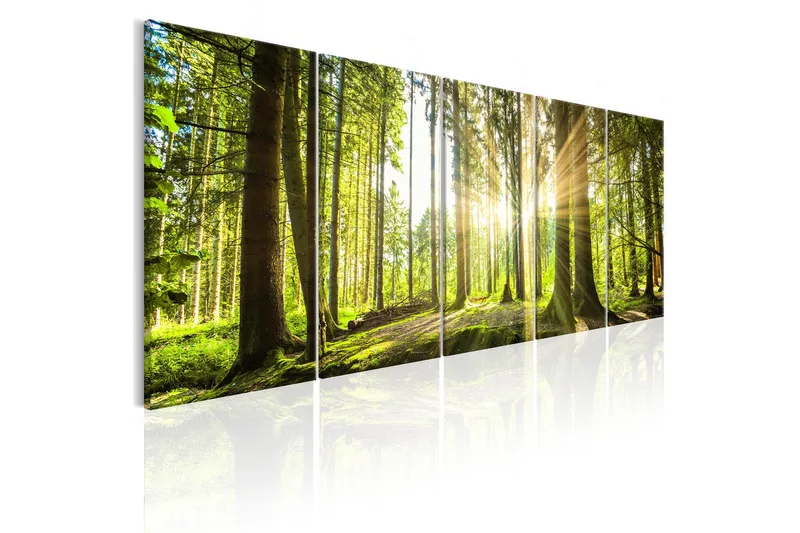 Billede Sunlight 200x80, Artgeist sp. z o. o.