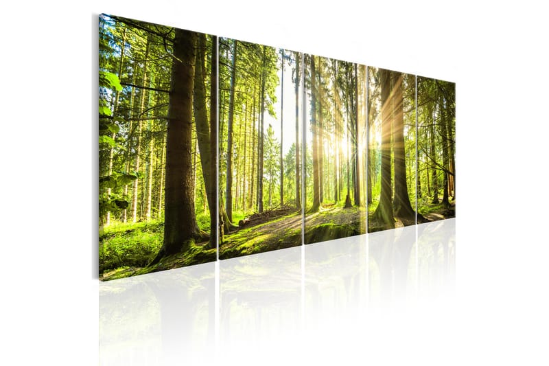 Billede Sunlight 225x90, Artgeist sp. z o. o.