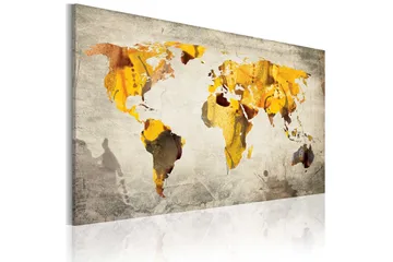 Billede Sunny Continents 120x80