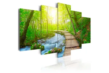 Billede Sunny Forest 100x50