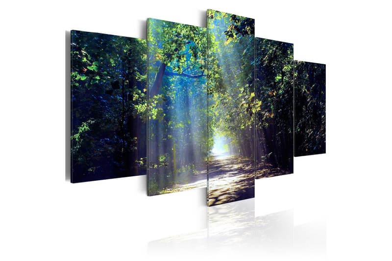 Billede Sunny Forest Path 100x50, Artgeist sp. z o. o.