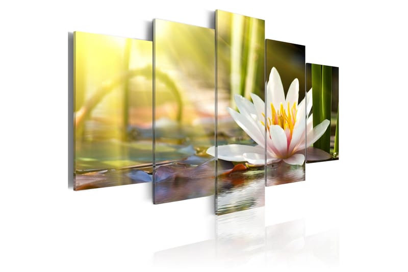 Billede Sunny Lotus 200x100, Artgeist sp. z o. o.