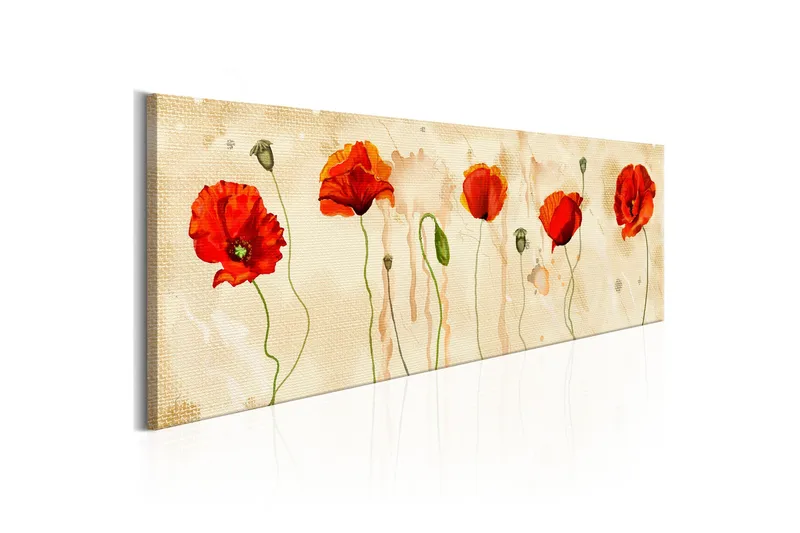 Billede Tears Of Poppies 120x40, Artgeist sp. z o. o.