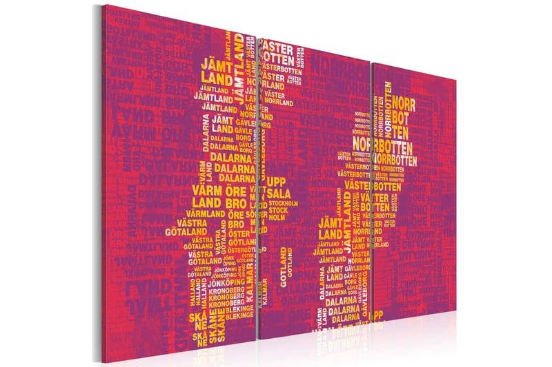 Billede Text Kort Over Sverige Lyserød Baggrund 60x40, Artgeist sp. z o. o.