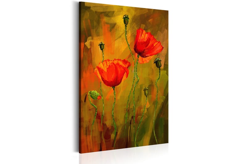 Billede The Awakening of Poppy 80x120 - Artgeist sp. z o. o. - Boligtilbehør - Billeder & kunst - Billeder på lærred
