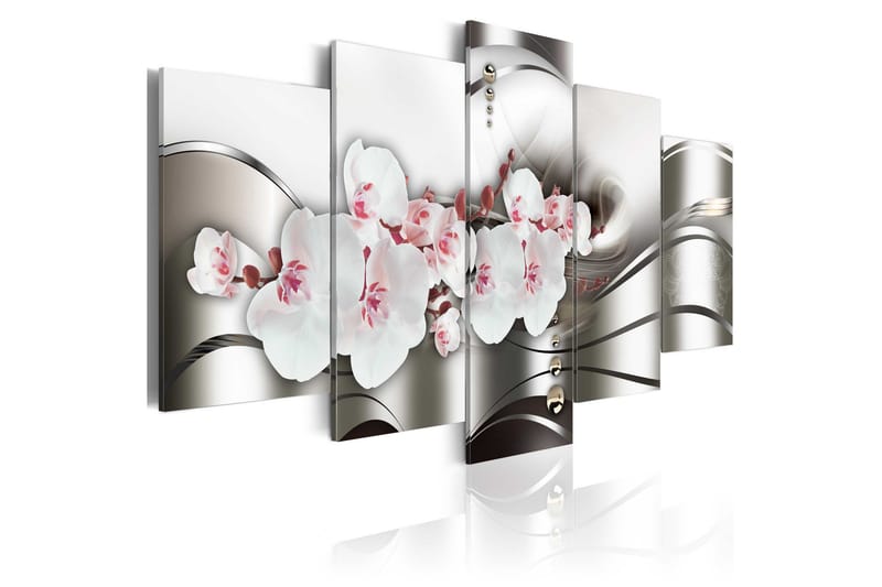 Billede The Beauty Of Orchids 100x50, Artgeist sp. z o. o.