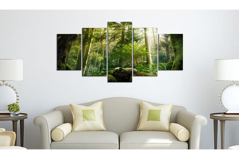 Billede The Beauty Of The Forest 100x50 - Artgeist sp. z o. o. - Boligtilbehør - Billeder & kunst - Billeder på lærred