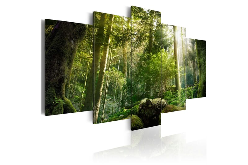 Billede The Beauty Of The Forest 200x100, Artgeist sp. z o. o.