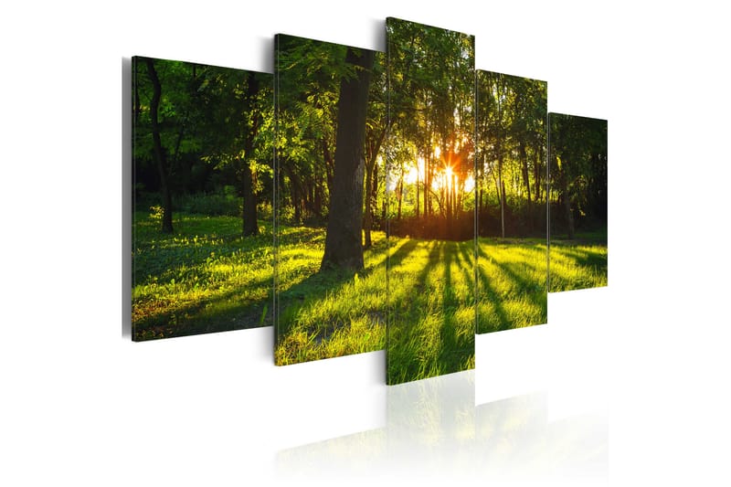 Billede The Forest Reflection 200x100 - Artgeist sp. z o. o. - Boligtilbehør - Billeder & kunst - Billeder på lærred