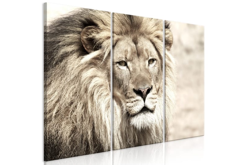 Billede The King Of Beasts 3 Parts Beige 90x60, Artgeist sp. z o. o.