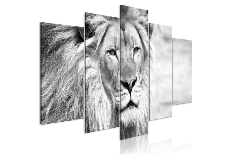 Billede The King Of Beasts 5 Parts Wide B&W 100x50, Artgeist sp. z o. o.