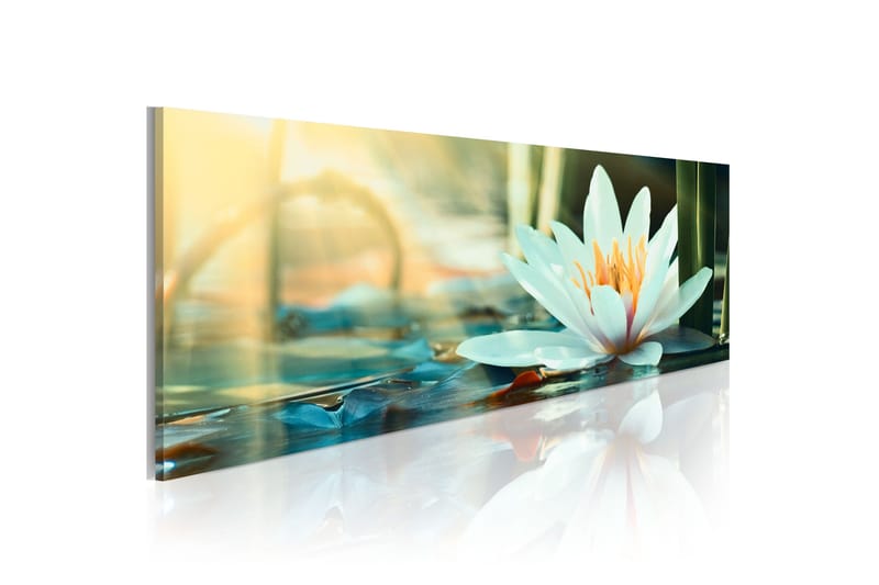 Billede The Lake Of Lotus 135x45, Artgeist sp. z o. o.