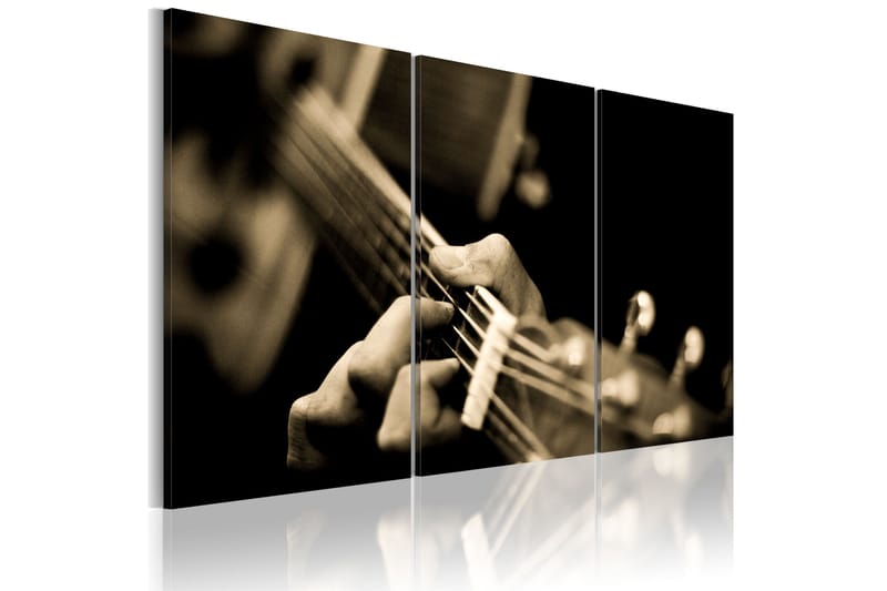 Billede The Magic Sound Of A Guitar 120x80, Artgeist sp. z o. o.