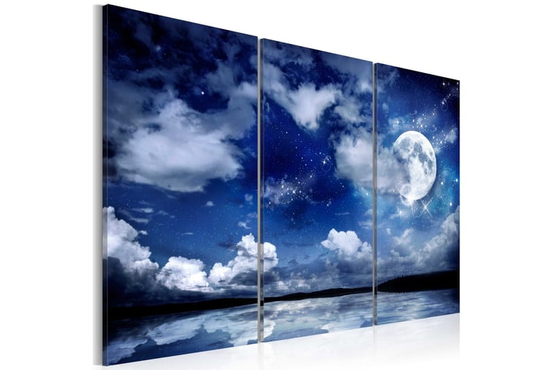 Billede The Sea At Night 120x80, Artgeist sp. z o. o.