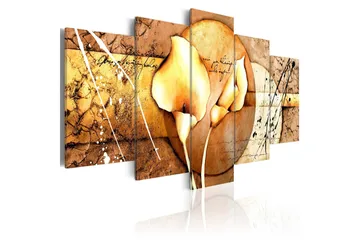 Billede The Secret Of Calla Lily Gold 200x100
