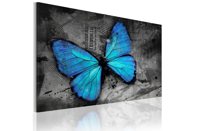 Billede The Study Of Butterfly 60x40, Artgeist sp. z o. o.