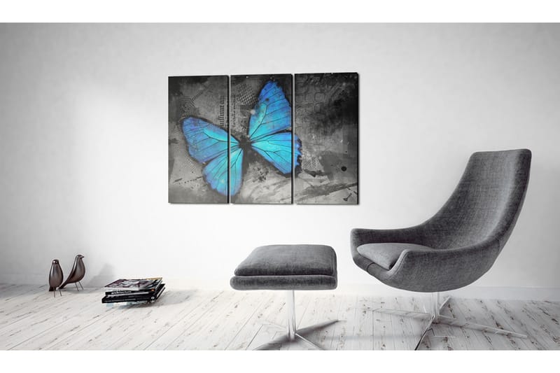 Billede The Study Of Butterfly Triptych 120x80 - Artgeist sp. z o. o. - Boligtilbehør - Billeder & kunst - Billeder på lærred