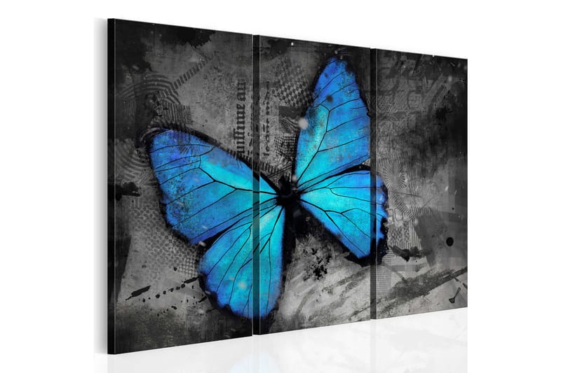 Billede The Study Of Butterfly Triptych 120x80, Artgeist sp. z o. o.