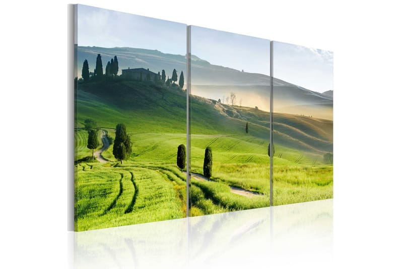 Billede Time Of Harvest 60x40, Artgeist sp. z o. o.