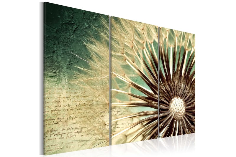 Billede Transitory Beauty 60x40, Artgeist sp. z o. o.