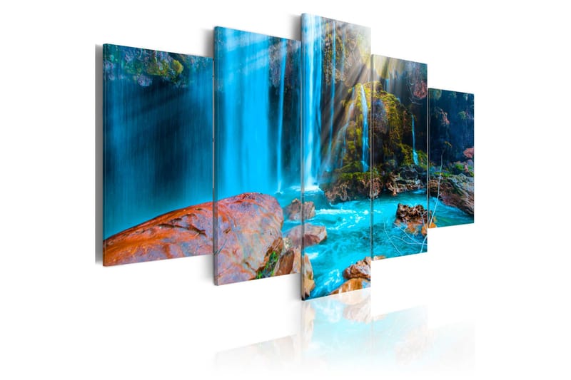Billede Treasures Of Nature 200x100 - Artgeist sp. z o. o. - Boligtilbehør - Billeder & kunst - Billeder på lærred