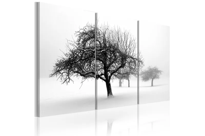 Billede Trees Submerged In White 120x80, Artgeist sp. z o. o.