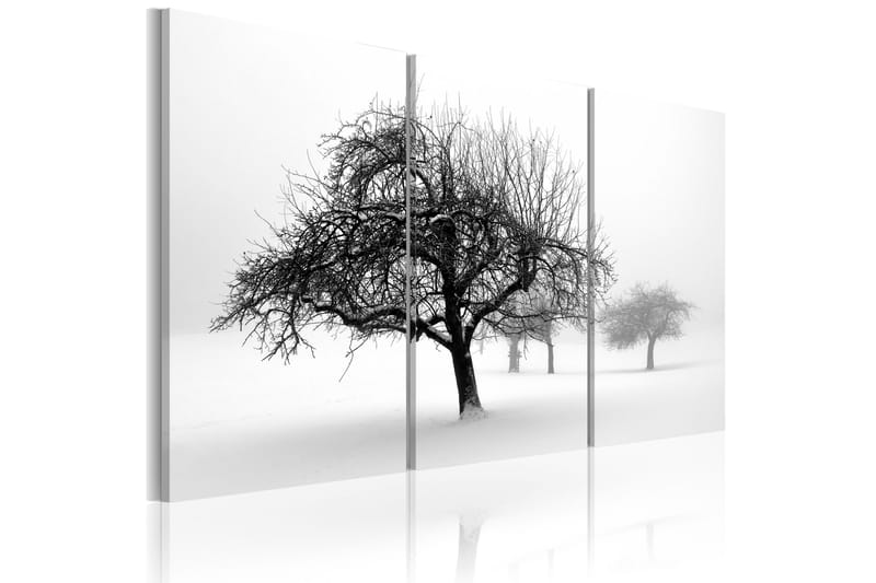 Billede Trees Submerged In White 120x80 - Artgeist sp. z o. o. - Billeder på lærred