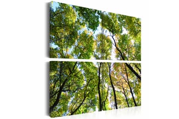 Billede Treetops 40x40