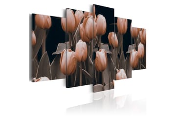 Billede Tulipaner Sepia 100x50