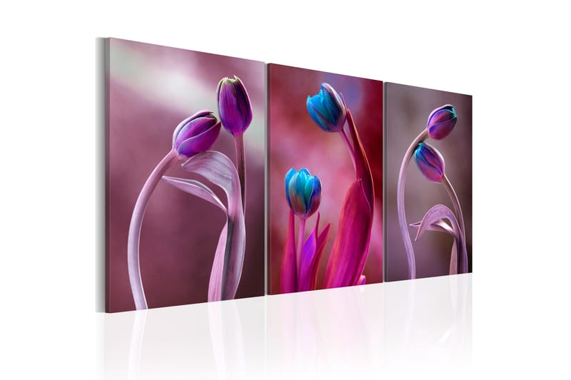 Billede Tulips In Love 120x60, Artgeist sp. z o. o.