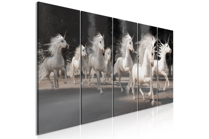 Billede Unicorns Run 5 Parts Narrow 225x90, Artgeist sp. z o. o.