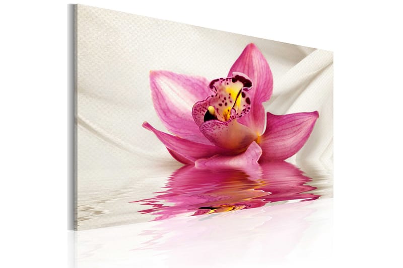 Billede Unusual Orchid 60x40, Artgeist sp. z o. o.
