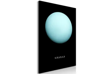 Billede Uranus (1 del) Lodret 40x60 - Artgeist sp. z o. o. - Boligtilbehør - Billeder & kunst - Billeder på lærred