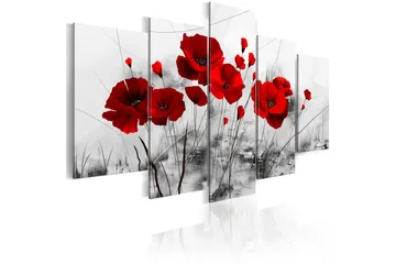 Billede Valmuer Rød Mirakel 100x50 - Artgeist sp. z o. o. - Boligtilbehør - Billeder & kunst - Billeder på lærred