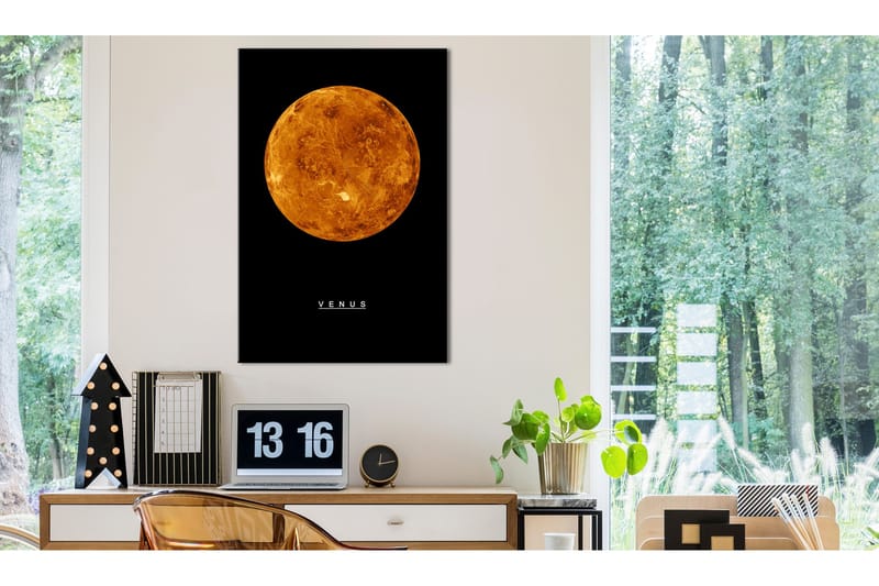 Billede Venus (1 del) Lodret 60x90, Artgeist sp. z o. o.