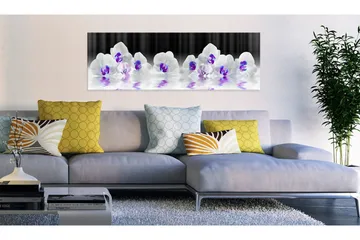 Billede Water Orchids 120x40 - Artgeist sp. z o. o. - Boligtilbehør - Billeder & kunst - Billeder på lærred