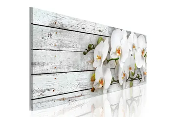 Billede White Dreams 120x40 - Artgeist sp. z o. o. - Boligtilbehør - Billeder & kunst - Billeder på lærred