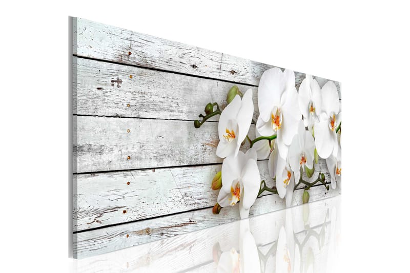 Billede White Dreams 120x40, Artgeist sp. z o. o.